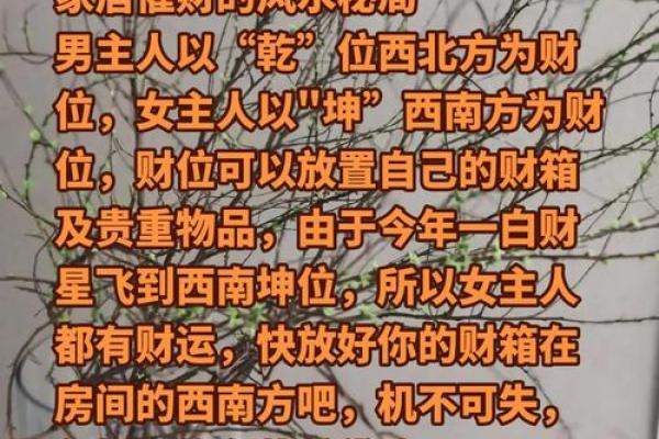 风水大师亲授：招财转运秘法，轻松提升财运！