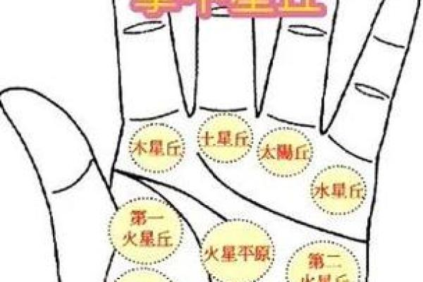 手相揭秘：看手识人，性格特征一览无余！