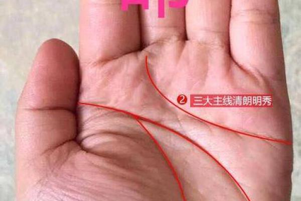 命理大师手相揭秘：掌握自己的运势轨迹