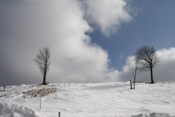 刘向雪：瑞雪兆丰年，向梦而行，雪中显贵之姓名运势解析
