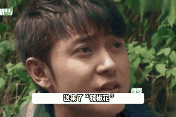 爱情密码解密：张丹峰洪欣的命理传奇