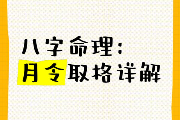 八字入门必看：快速掌握命理核心秘诀