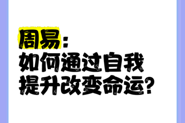 解锁命运密码：周易预测，你的未来可以这样看