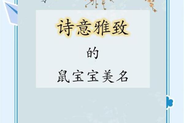 鼠年宝宝名字：汐字寓意美好名汇
