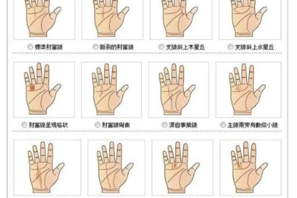 恶疾手相揭秘：看手识病，破解健康密码