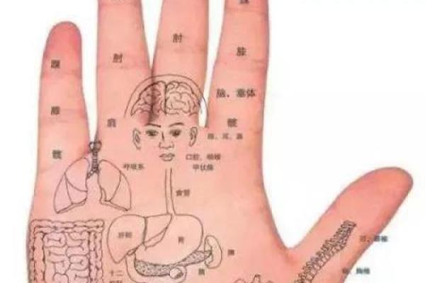 恶疾手相揭秘：看手识病，破解健康密码