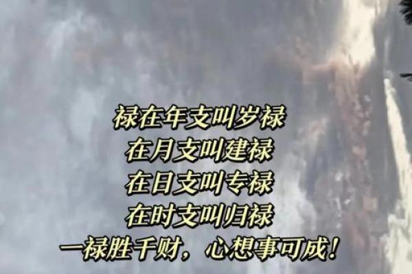 八字命理自学宝典：揭秘人生运势密码