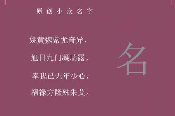 姚氏宝宝，智慧之名