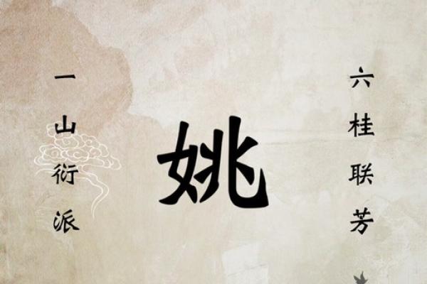 姚氏宝宝，智慧之名