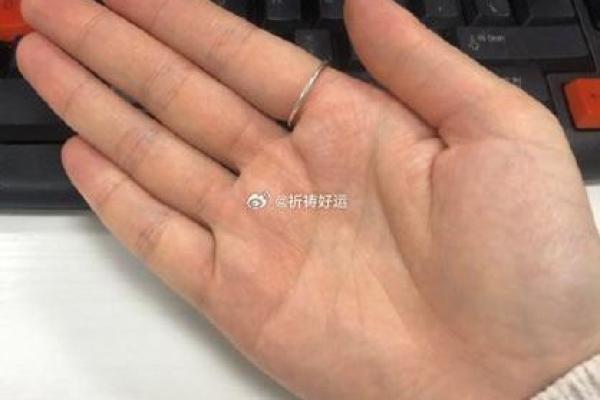 性感密码：手相揭秘你的魅力指数
