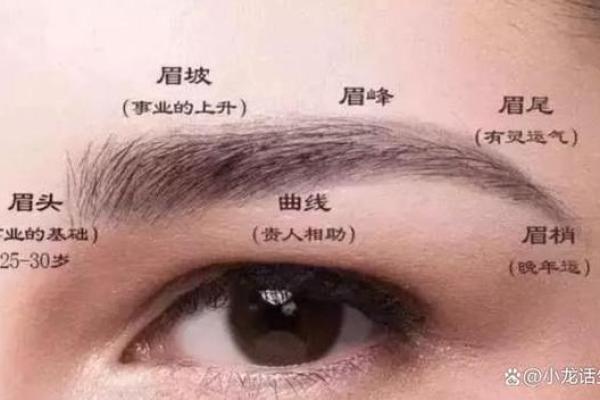 眉中瘊子，命运之谜面相解读