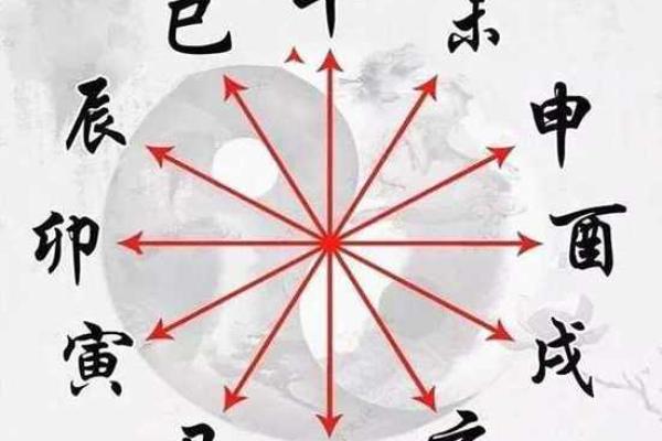 地支相生揭秘：完美姻缘的神奇法则