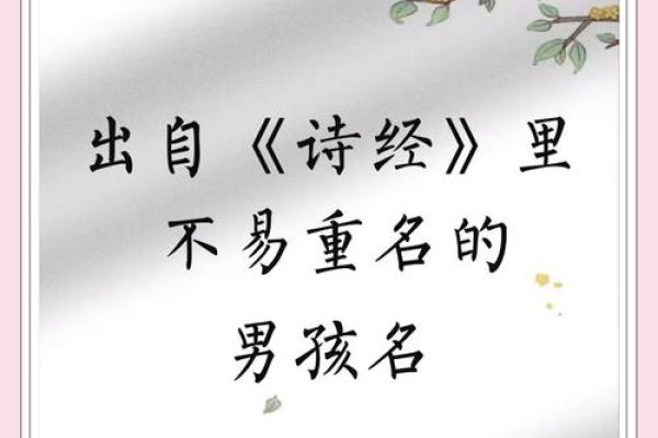 诗经古韵，男宝宝名字精选