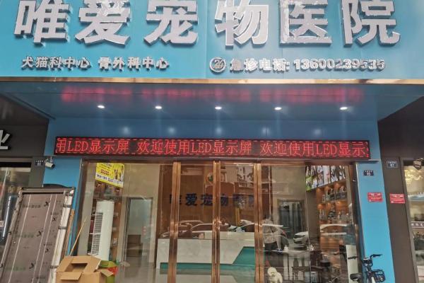 宠物医院公司命名创意：打造独特品牌的关键策略