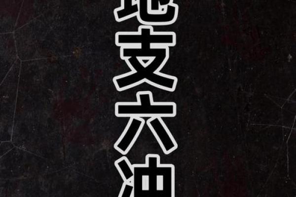 乾坤合一，地支运势大放异彩