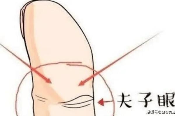 晚来爆富，揭秘40岁后的财富手相秘诀！