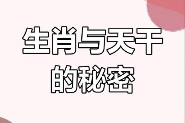天干地支智慧：揭秘十二生肖运势，助你趋吉避凶