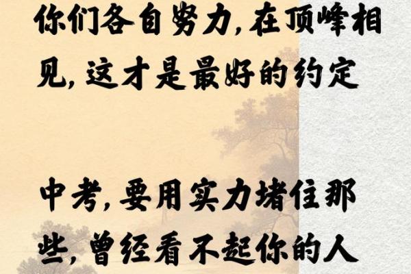 子诺人生璀璨，天赋异禀，运势亨通如星辰闪耀
