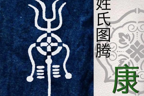 康家宝宝名字推荐：传承文化，彰显个性