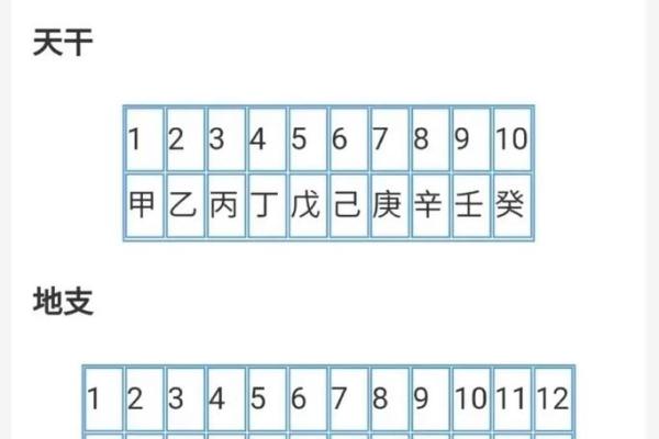 天地交泰，阴阳五行与地支演变