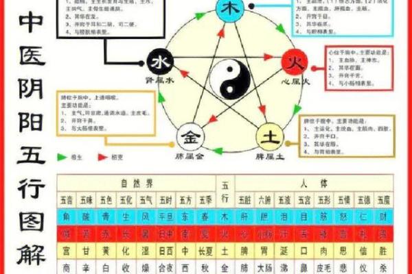 五行归类表：助你快速记忆的秘诀