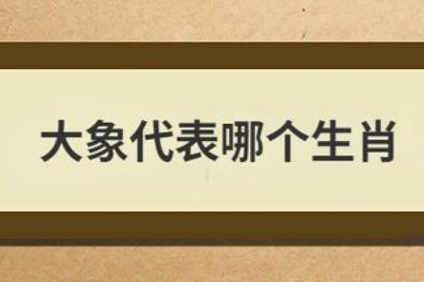 天赋猪宝宝美名推荐