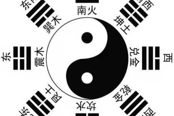 吴秀波命理大揭秘：八字分析揭示人生起伏之谜