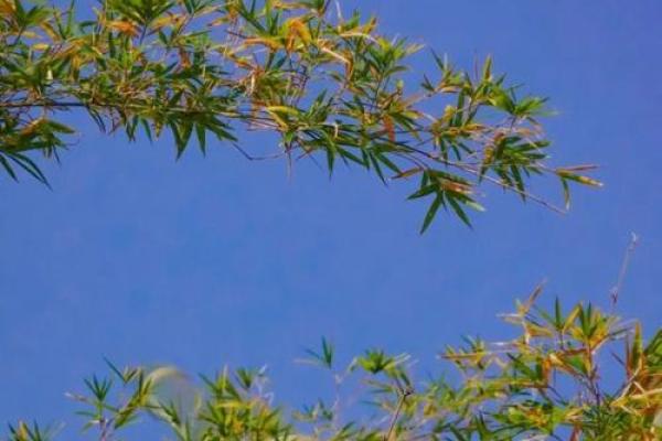 丁文静：文静如水，静待花开的幸运之名