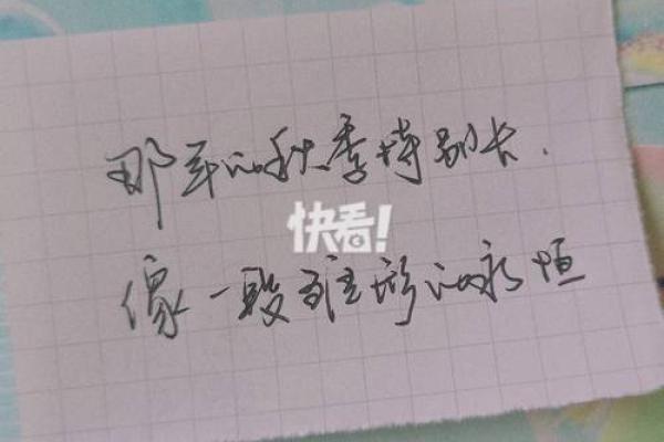 未知的魅力：地支未背后的故事