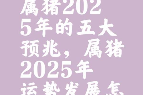 猪年转运指南：抓住机遇，开启财富人生！