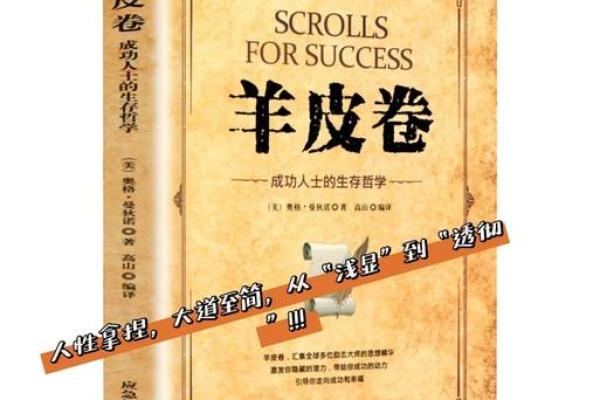 王辉的成功之路：从平凡到卓越