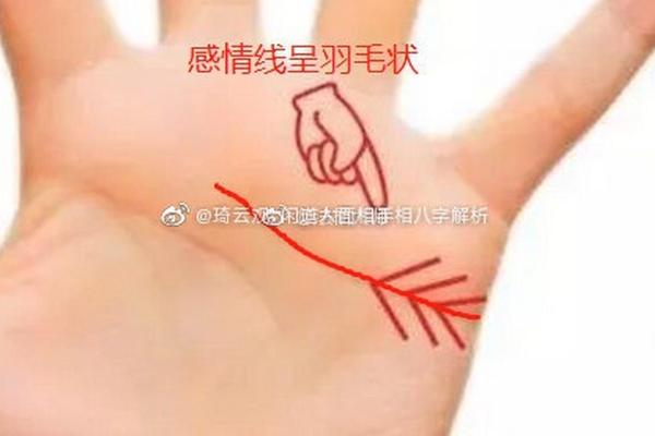姝婷之韵，命运花开——揭秘姓名中的美好寓意与运势秘密