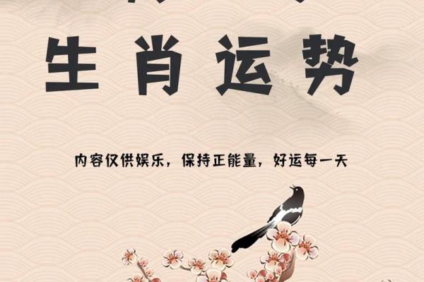张瑾亦：璀璨如星，智慧与优雅并存的姓名运势解析