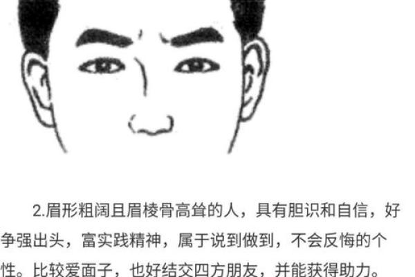 面相眉毛入鬓，财运亨通的秘密！