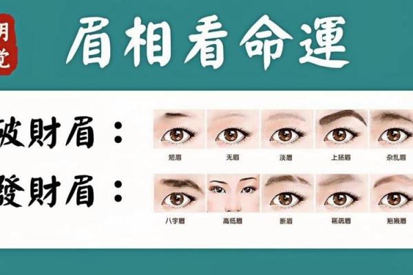 面相眉毛入鬓，财运亨通的秘密！