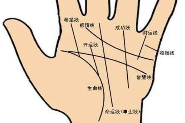 一看手相就能知晓好命，快来对照你的手相吧！