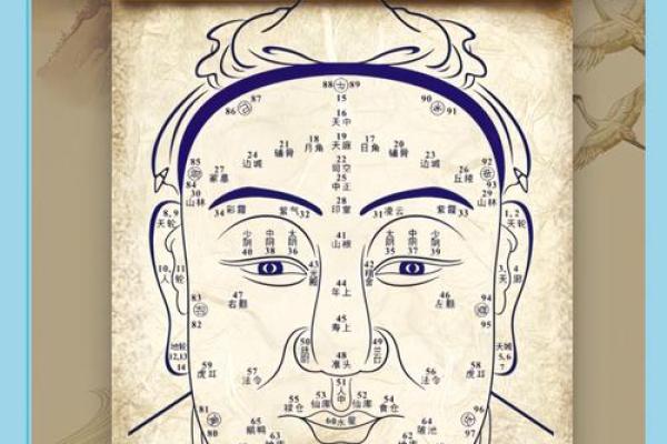 面相解析：柱纹彰显何种命运格局？