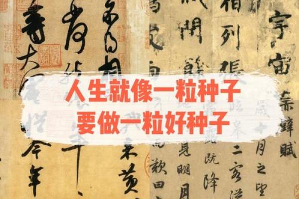 陆芮：慧眼独具，瑞气盈门，美好人生如斯！