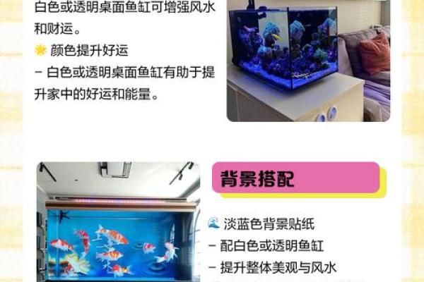 鱼缸风水大揭秘：避开这些禁忌，财运滚滚来！