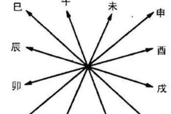 地支交融，360°完美搭配