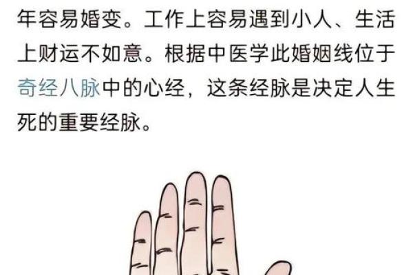 手相姻缘揭秘：一眼看穿你的百年好合