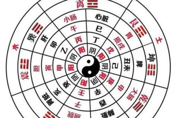 古法揭秘：地支排月，轻松掌握传统时间智慧