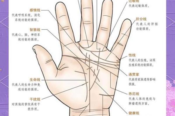掌中秘密：揭秘m字手相男人的独特魅力