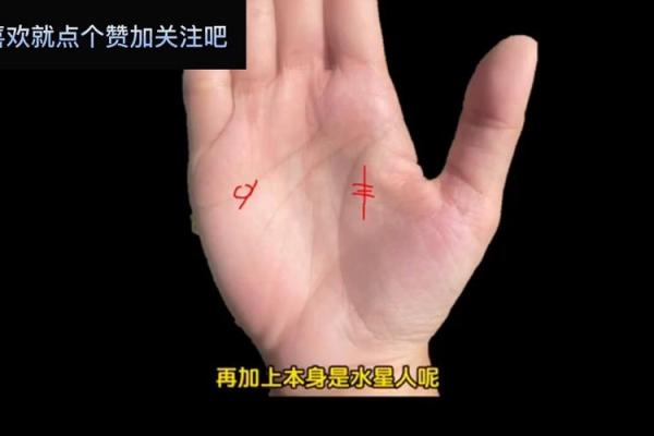 手相链型纹，解锁你的财富密码