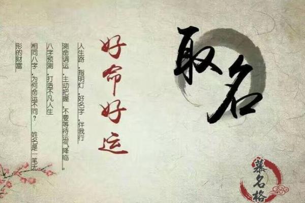 猴年宝宝生辰八字起名的最佳选择
