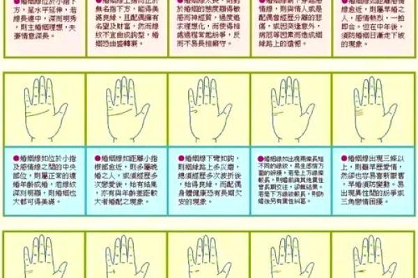 爆款秘诀：手相簸箕揭示命运转折点