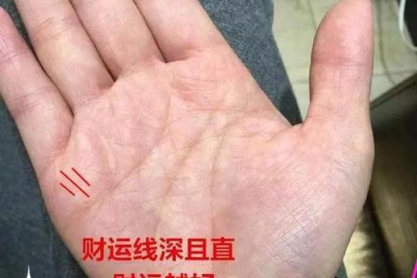 瓜分财运，手相揭秘你的财富密码！