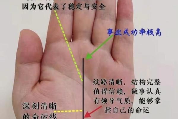 手相吉凶揭秘：财运、健康、爱情一手掌握