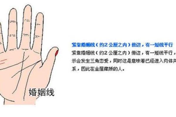 婚姻线深度解析：看手相，预知你的爱情走向