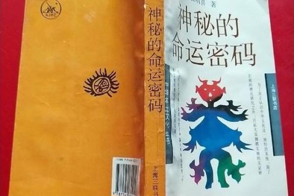 解锁命运密码：贝儿命理独家揭秘